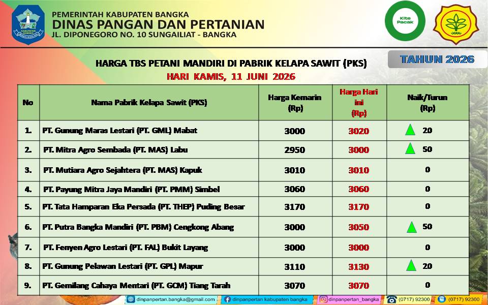 UPDATE HARGA TBS. KAMIS, 11 JUNI 2026
